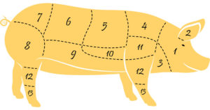 Butcher chart for cuts of pork. Yellow hog with numbers on it