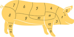 Butcher chart for cuts of pork. Yellow hog with numbers on it